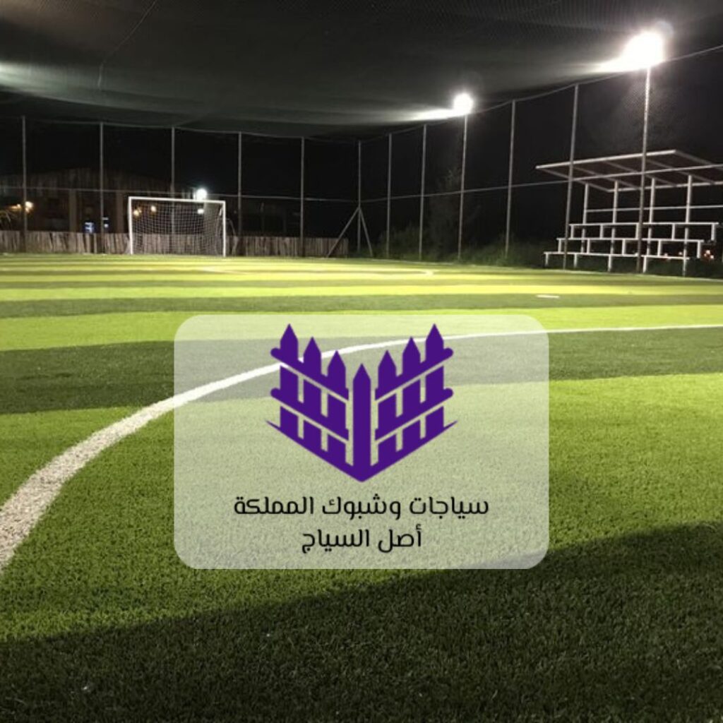 شبك ملاعب كرة القدم في الرياض